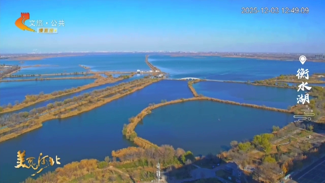 美丽河北慢直播丨衡水湖观鸟季，蓝天碧水间，赴一场候鸟之约！ 衡水 正午 2025/12/03#这么近，那么美，周末到河北