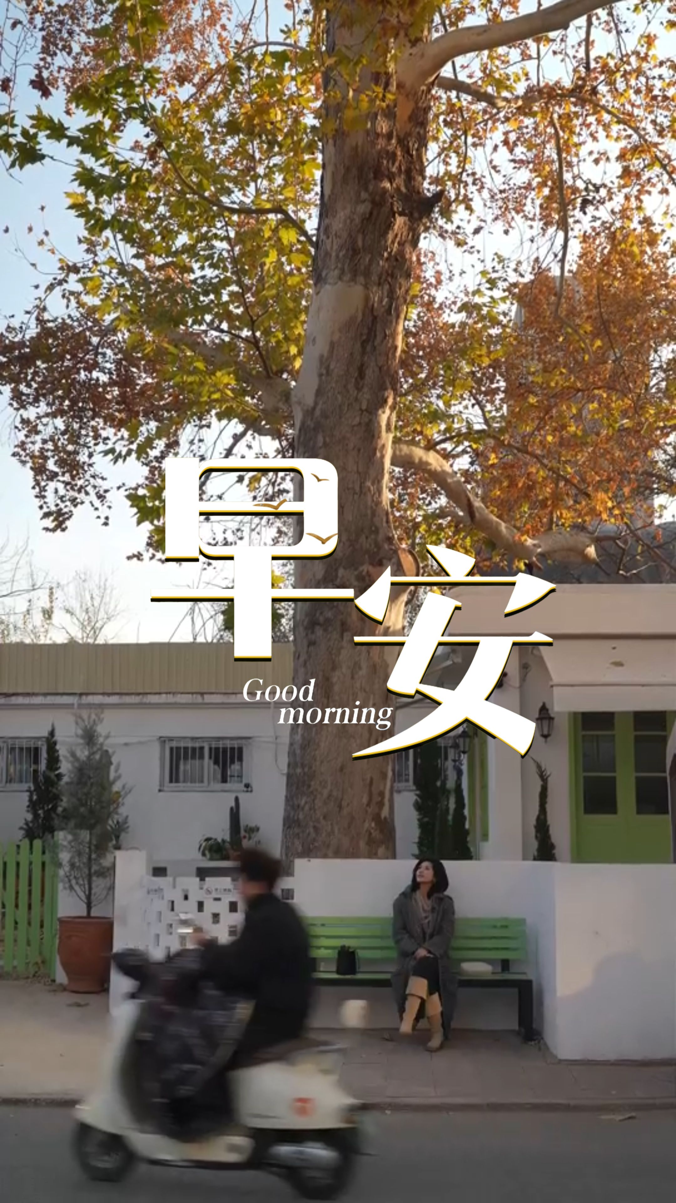 2025年12月5日，早安！把外套裹紧，把心事捂暖。无论是手中的咖啡，还是远方的问候都是冬日的礼物。愿你所有沉默的扎根都在为下一个春天积蓄力量。