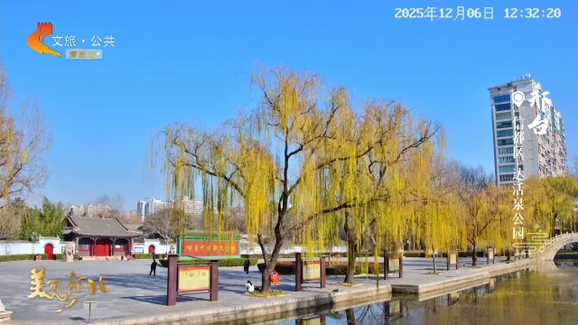 美丽河北慢直播丨晴波映蓝染金柳，达活泉超美的！ 正午 2025/12/06#这么近，那么美，周末到河北
