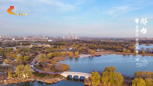 美丽河北慢直播丨冬日的襄湖森林公园，步步皆藏好风光 清晨 2025/12/09#这么近，那么美，周末到河北
