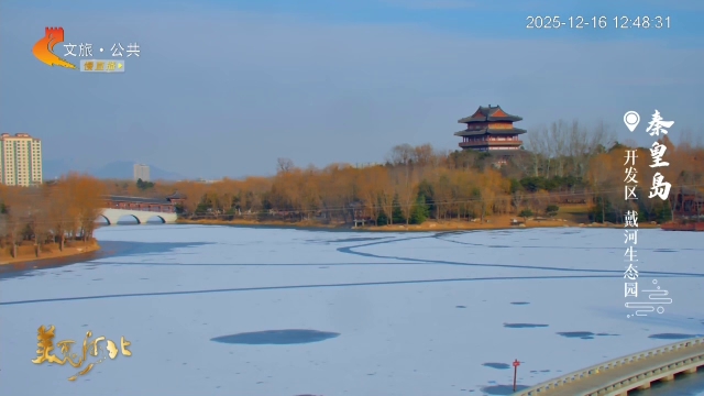 美丽河北慢直播丨戴河生态园银装素裹展妙颜！正午 2025/12/16 #这么近，那么美，周末到河北