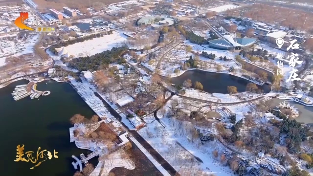 美丽河北见证官段荣欣作品欣赏丨植物园雪覆寒塘树影疏