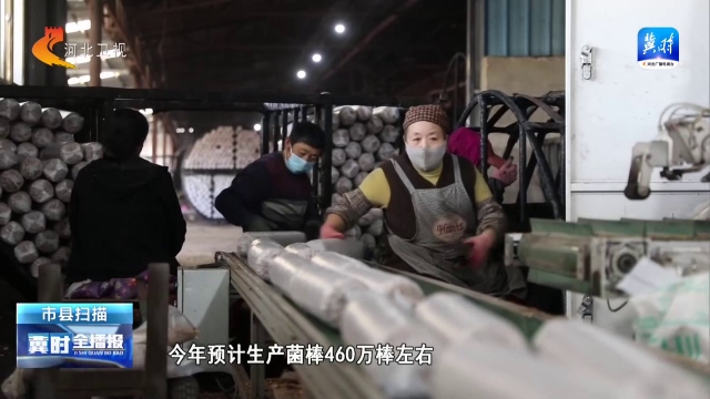 冀时全播报 | 承德平泉：金融活水“贷”动食用菌产业高质量发展