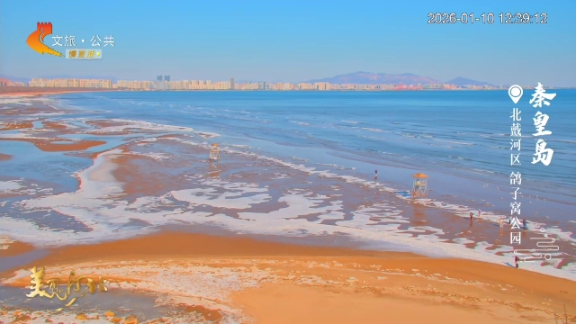 美丽河北慢直播丨冬天来秦皇岛，承包整片海和漫天海鸥 正午 2026/01/10#这么近，那么美，周末到河北