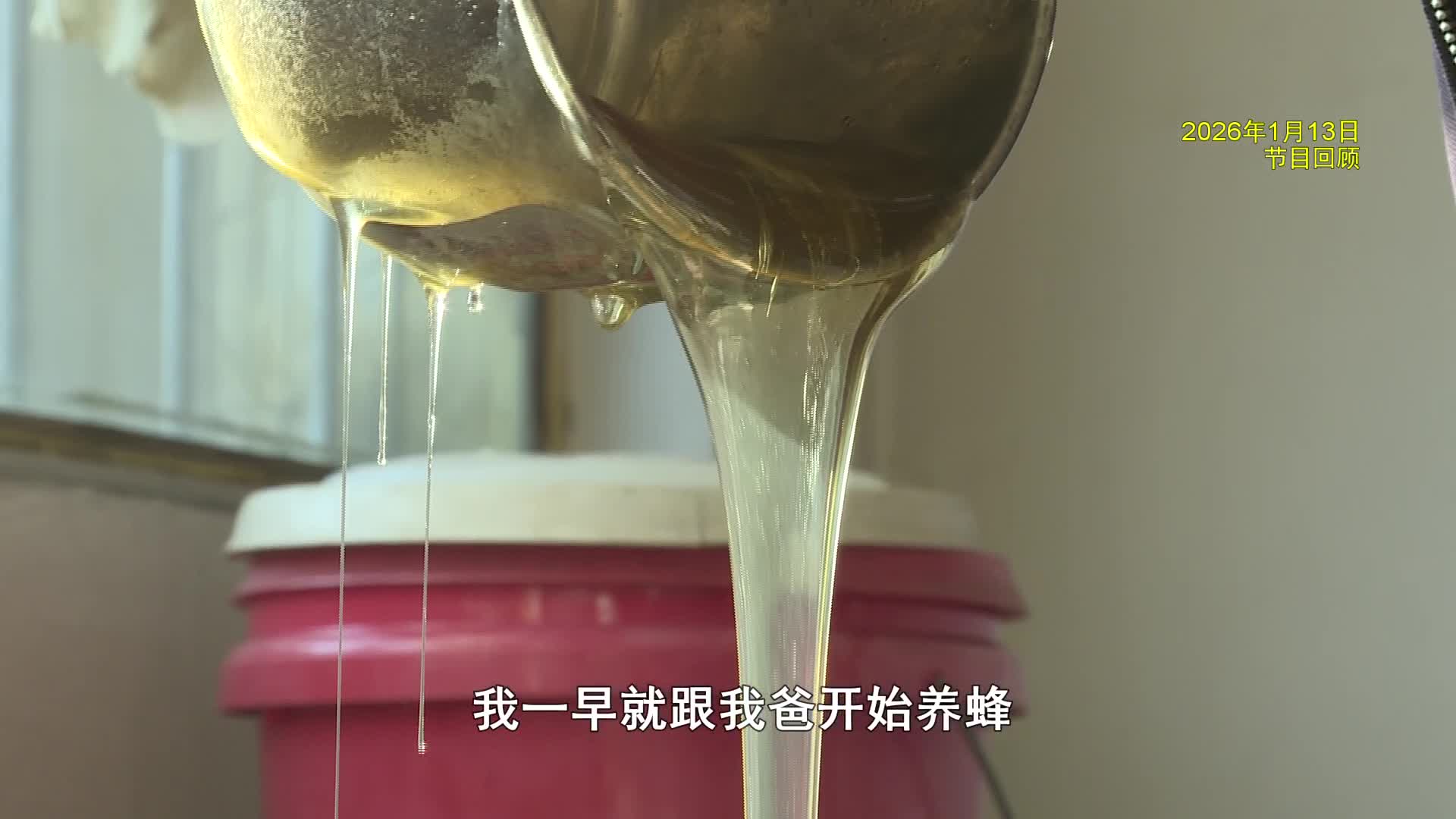 【一键开卖】邢台临城：为筹学费蜂农急售蜂蜜 热心观众暖心下单