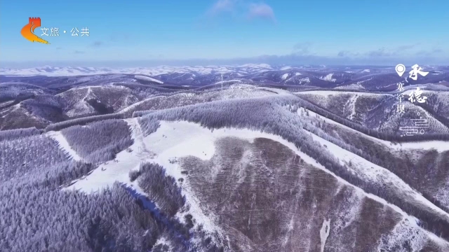 美丽河北慢直播丨冬日塞罕坝，雾凇“雕刻”的森林，美如诗画 承德 正午 2026/01/16#这么近，那么美，周末到河北