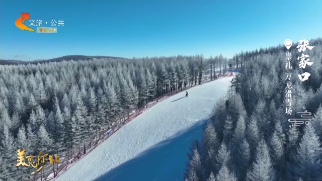 美丽河北慢直播•京张体育文化旅游带丨#跟着赛事去旅行#大寒时节，到万龙的雾凇与白雪间激情畅滑~ 张家口 正午 2026/01/20#这么近，那么美，周末到河北