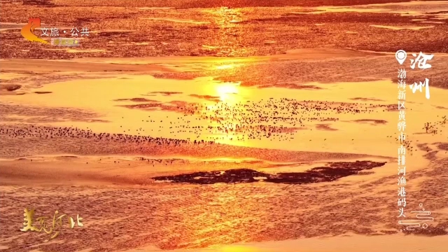 美丽河北见证官宋文峰作品欣赏丨金色梦境！在南排河渔港码头，邂逅一场霞光与飞鸟的盛宴