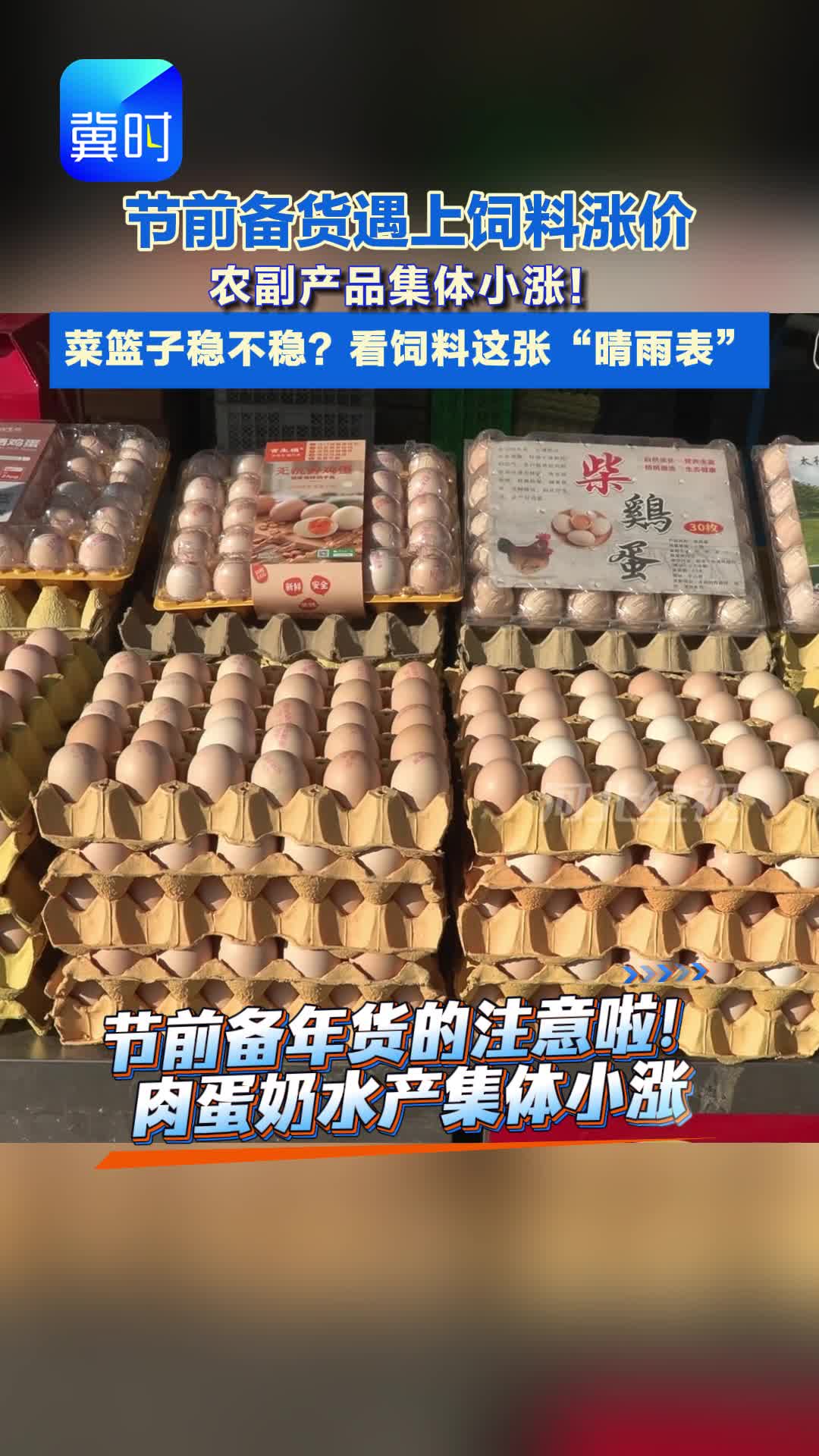 节前备货遇上饲料涨价 农副产品集体小涨！菜篮子稳不稳？看饲料这张“晴雨表”