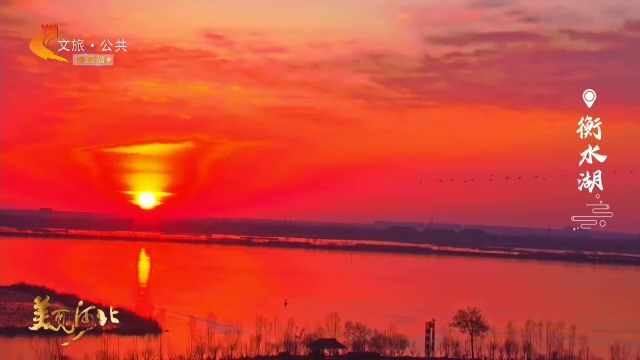 美丽河北慢直播丨衡水湖迎朝阳，金波飞鸟入画来 清晨 2026/01/26#这么近，那么美，周末到河北