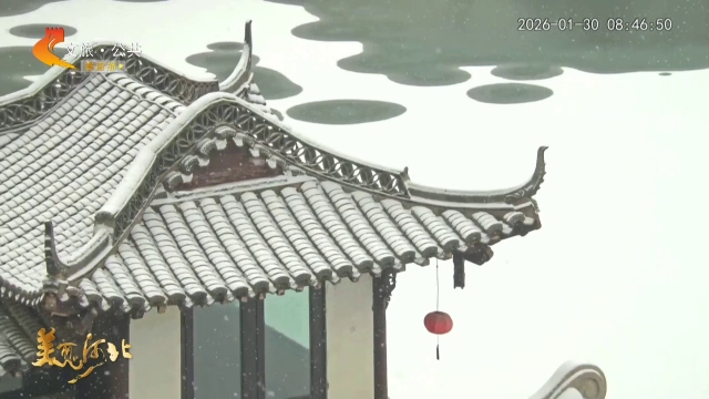 美丽河北慢直播丨磁州水墨园琼英漫舞，雪韵入诗笺 邯郸 清晨 2026/01/30#这么近，那么美，周末到河北