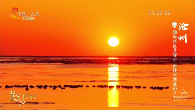 美丽河北见证官宋文峰作品欣赏丨南排河朝辉漫染鸟摇影！