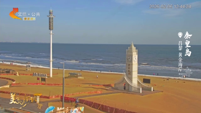 美丽河北慢直播丨限定“鸥”遇！秦皇岛，观鸟赏冰一站式打卡 秦皇岛 正午 2026/02/06#这么近，那么美，周末到河北