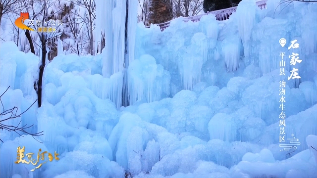 美丽河北慢直播丨打卡沕沕水生态风景区，被大自然的冰雕手艺惊艳到了 石家庄 清晨 2026/02/07#这么近，那么美，周末到河北