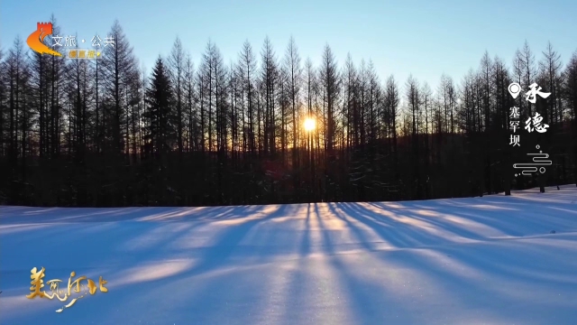 美丽河北见证官林树国作品欣赏丨雪覆塞罕坝，壮美林海宛若冰雪奇境！