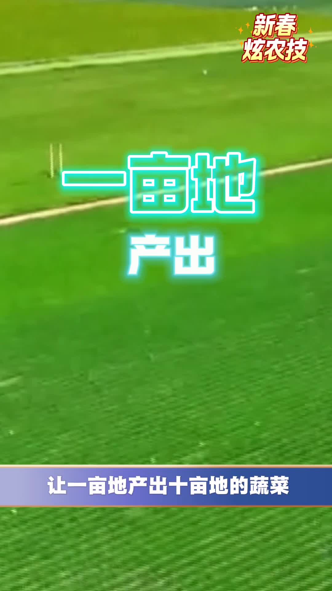 【新春农科炫起来】农产品上云端