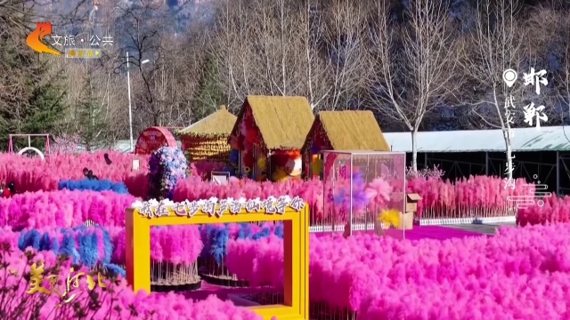 美丽河北见证官吴长新作品欣赏丨打卡七步沟粉色芦海仙境，开启浪漫之旅！
