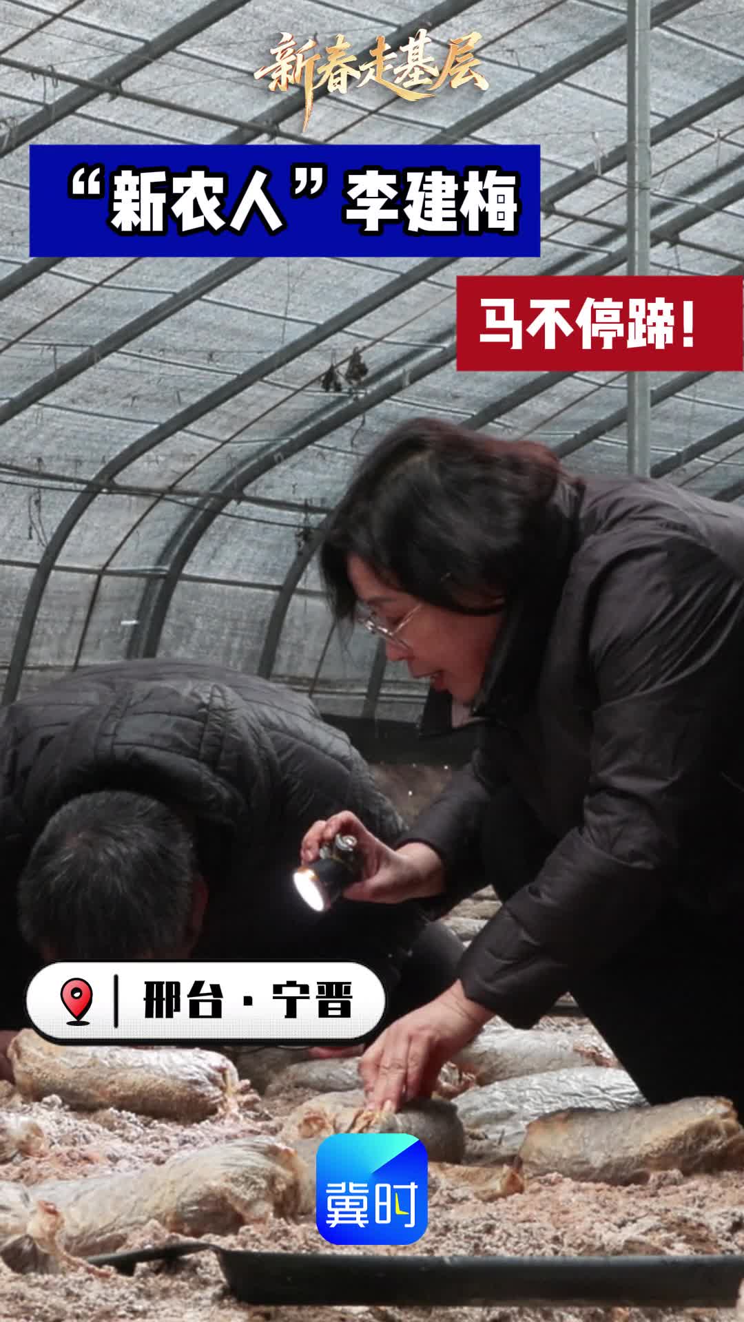 【新春走基层】“新农人”李建梅 马不停蹄