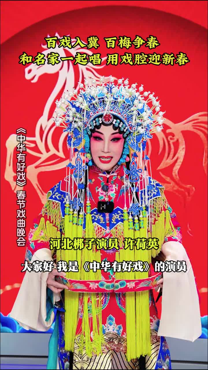 百戏入冀 百梅争春 许荷英邀您和名家一起唱 用戏腔迎新春#中华有好戏 #中华有好戏唱响中国节 #百戏入冀百梅争春