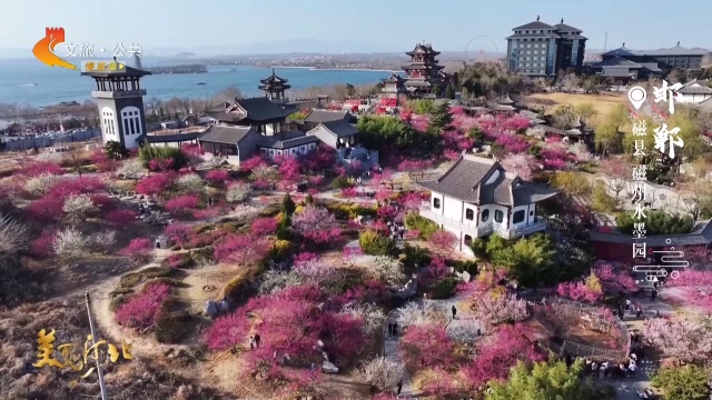 美丽河北见证官郭宪芳作品欣赏丨磁州水墨园花满园，舞翩跹~