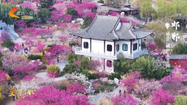 美丽河北慢直播丨磁州水墨园满园春色，梅香浮动~清晨 2026/02/27 #这么近，那么美，周末到河北