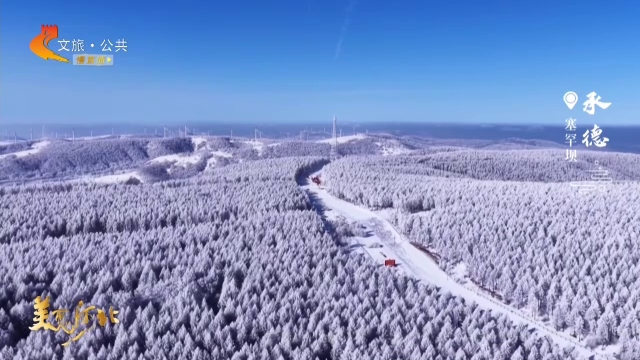 美丽河北见证官林树国作品欣赏丨雾凇映林海！塞罕坝藏着极致的美