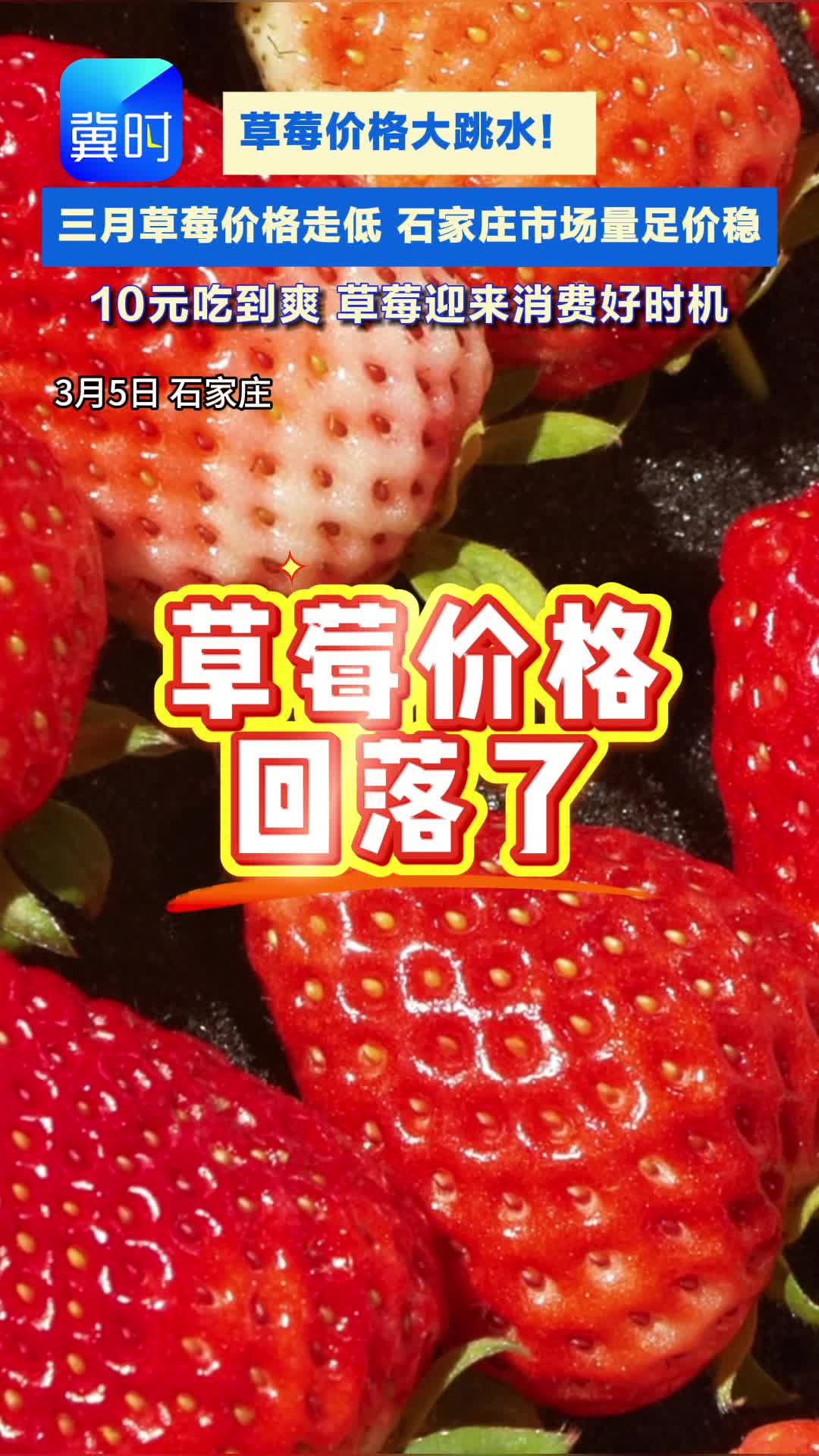 价格降降降！草莓爱好者速度买起来#草莓