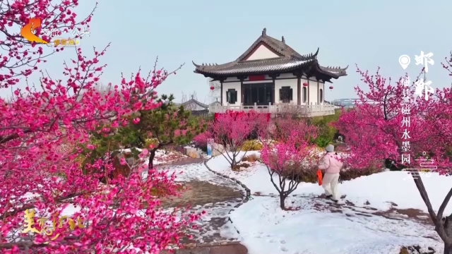 美丽河北见证官郭宪芳作品欣赏丨磁州水墨园满园春雪，红梅点妆！