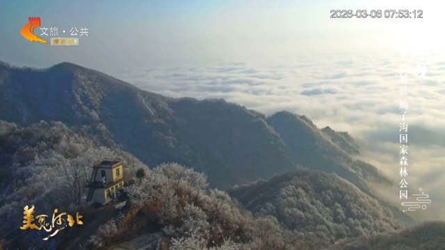 美丽河北慢直播•太行山文化旅游带丨蝎子沟云海上线！云雾缭绕间，邂逅仙境级风光 清晨 2026/03/06#这么近，那么美，周末到河北