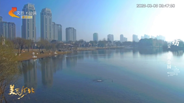 美丽河北慢直播丨春风拂面，大湖公园满眼皆景~廊坊 清晨 2026/03/06#这么近，那么美，周末到河北