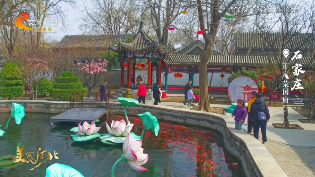 美丽河北慢直播丨红梅燃枝头，荣国府里藏春趣 正午 2026/03/08#这么近，那么美，周末到河北
