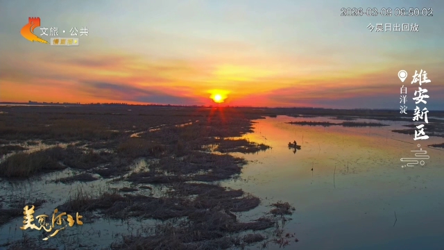 美丽河北慢直播丨美如画！飞鸟衔云来，淀水染霞光 雄安新区 清晨 2026/03/09#这么近，那么美，周末到河北