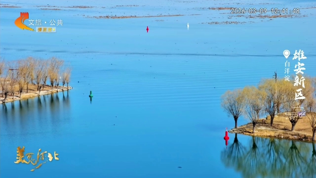美丽河北慢直播丨白洋淀春融水软摇苇影，风轻柳绿醉春光 正午 2026/03/09#这么近，那么美，周末到河北