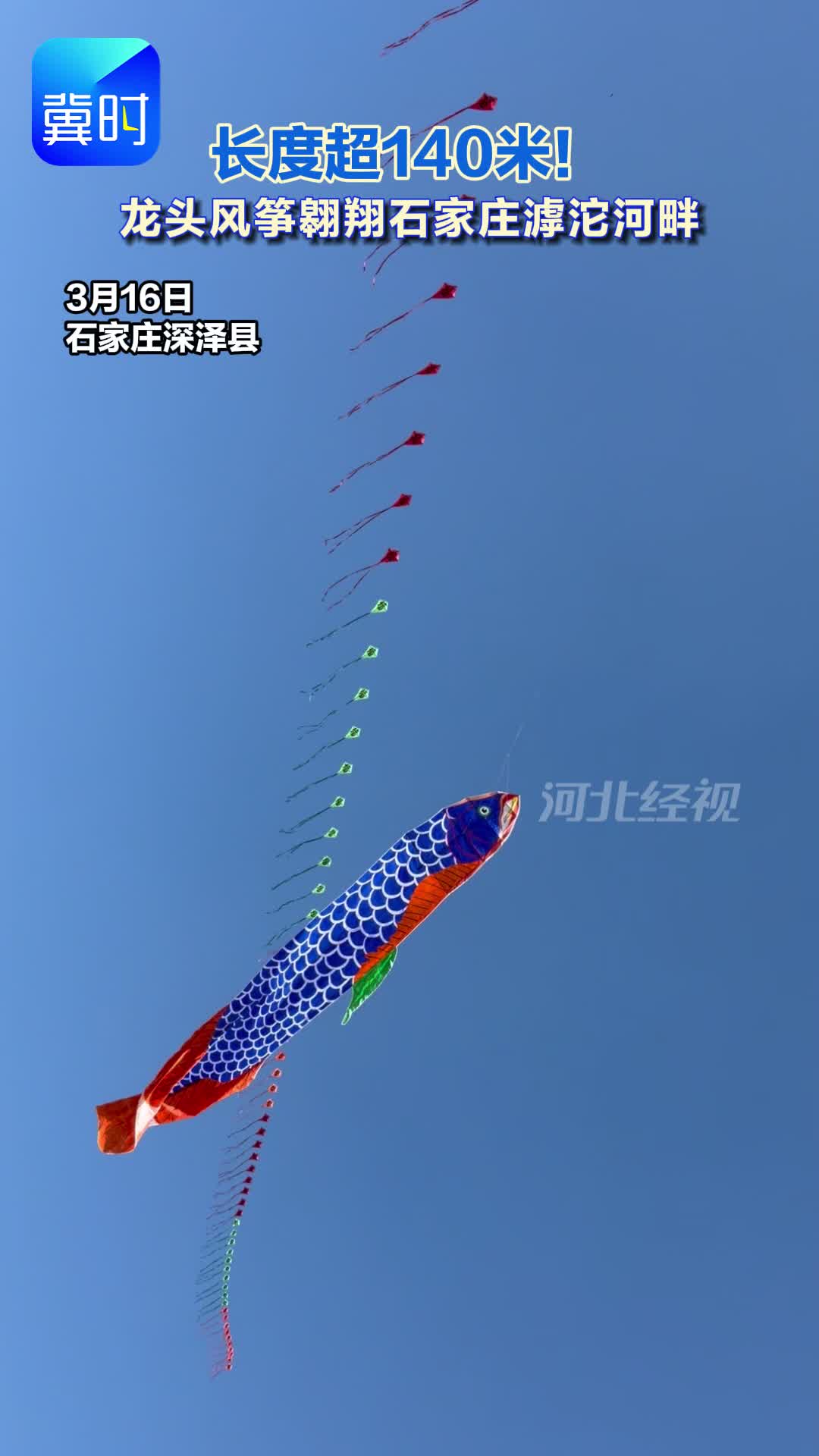 长度超140米！龙头风筝翱翔石家庄滹沱河畔#风筝 #踏青
