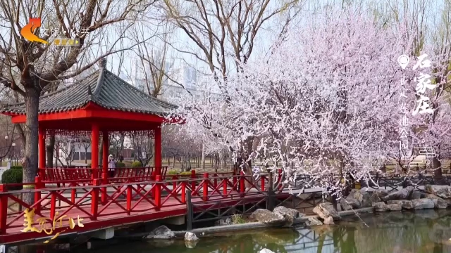 美丽河北见证官于志高作品欣赏丨莲池公园春染枝头花竞开！