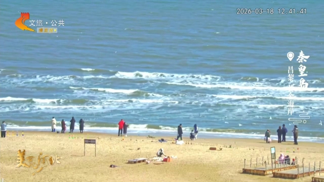 美丽河北慢直播丨春到港城，海浪轻吟鸟纷飞 秦皇岛 正午 2026/03/18#这么近，那么美，周末到河北