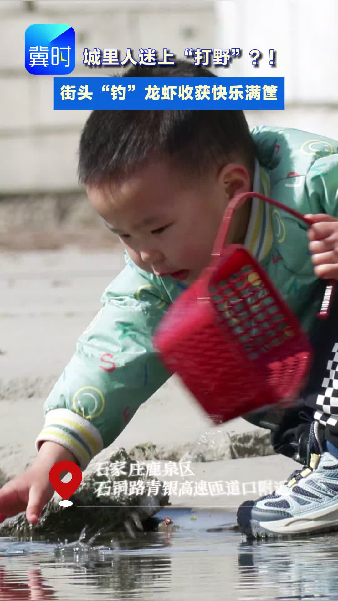 气温回升，快乐加倍！谁懂啊！在石家庄钓小龙虾也太快乐了！#抓虾#春游#返璞归真