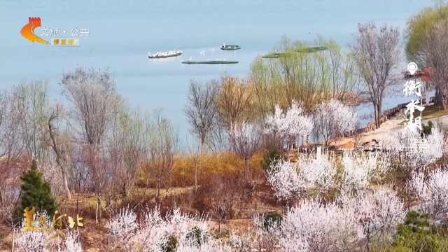 美丽河北见证官周津作品欣赏丨春满衡水湖，花香盈袖鸟入画~