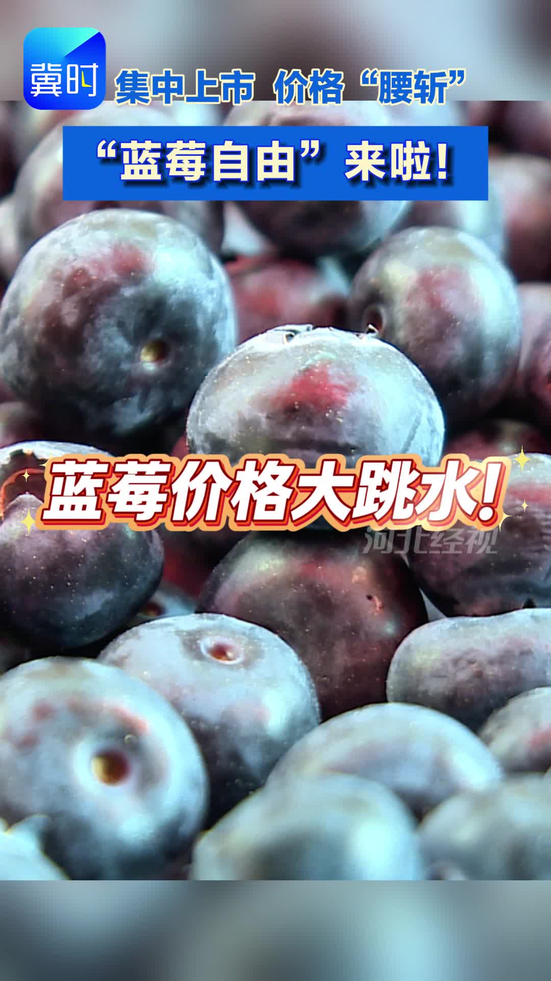 集中上市 价格“腰斩” “蓝莓自由”来啦！#蓝莓 #降价