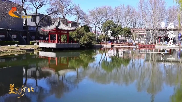 美丽河北慢直播丨游园踏青寻芳去，正定处处花如海 石家庄 清晨 2026/03/21#这么近，那么美，周末到河北