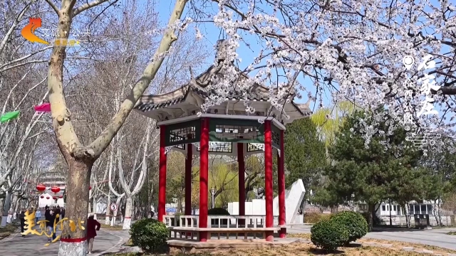 美丽河北见证官吴长新作品欣赏丨裕西公园春色芳菲满园景！