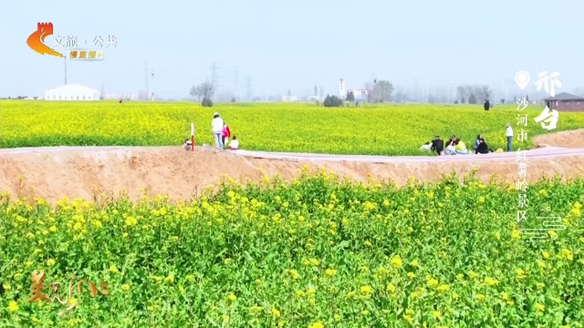 美丽河北慢直播•太行山文化旅游带丨春风引路，红薯岭油菜花开待君来 清晨 2026/03/28#这么近，那么美，周末到河北