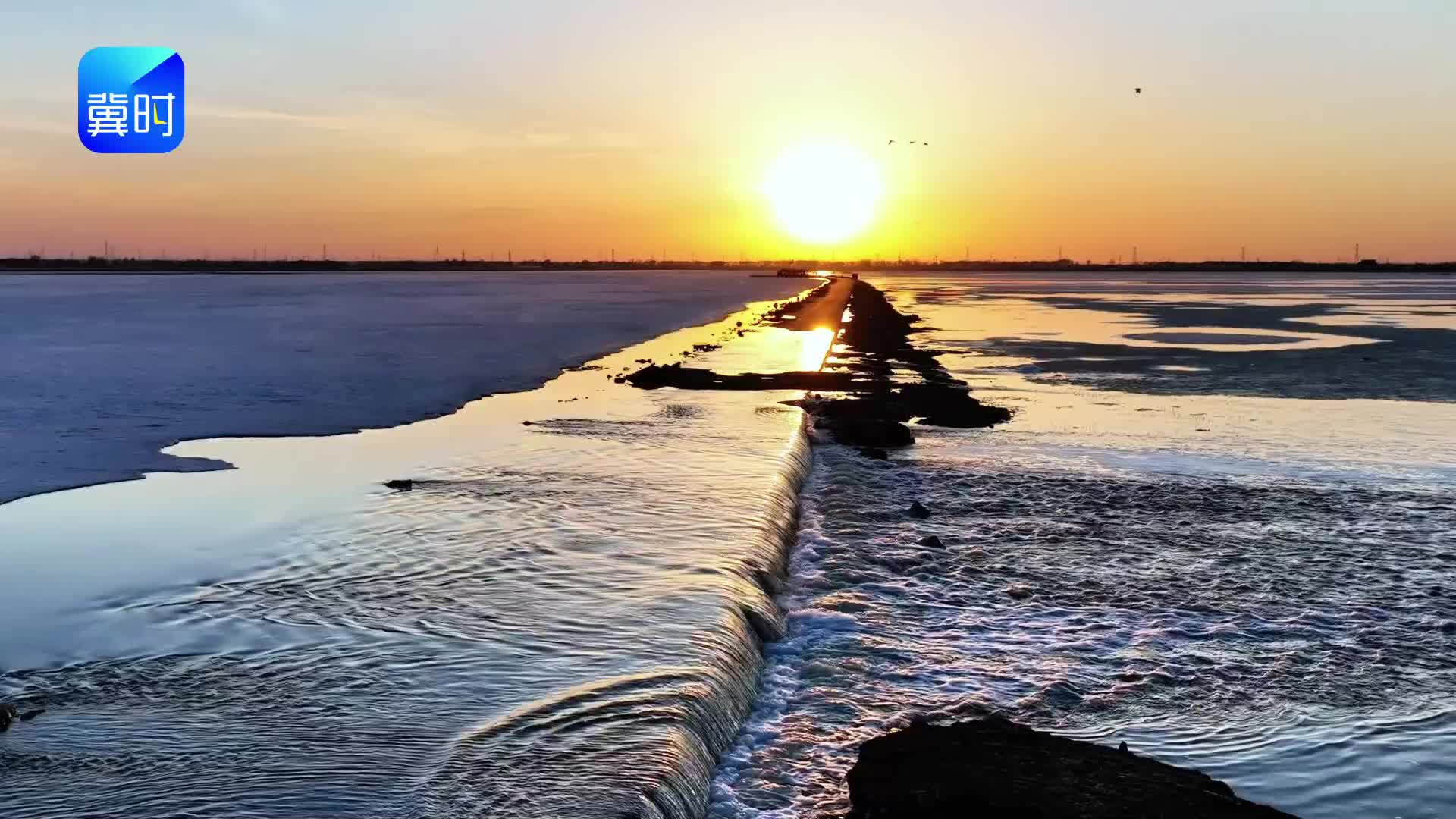 张北观鸟季：万鸟如期来