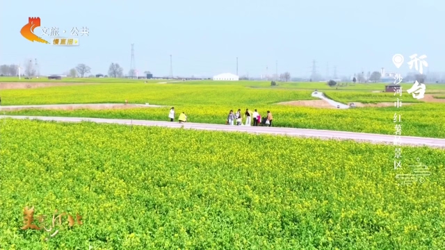 美丽河北见证官秦红英作品欣赏丨春风引路，红薯岭油菜花开待君来