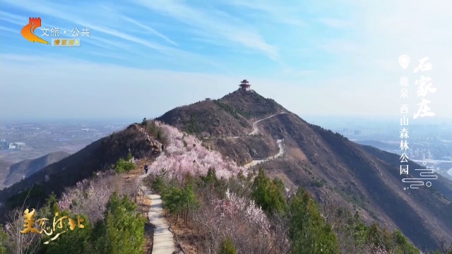 美丽河北见证官张文元作品欣赏丨山花烂漫处，恰是登高时~西山森林公园，等你来打卡