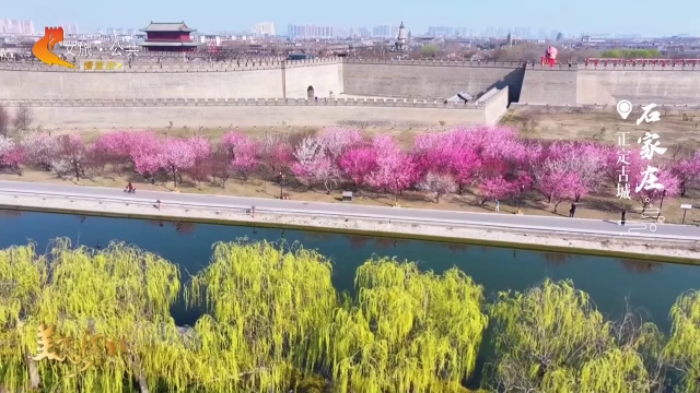 美丽河北见证官郭宪芳作品欣赏丨古城正定繁花满堤暖风融！