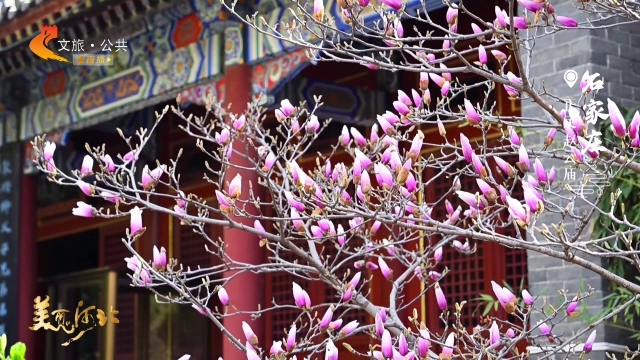 美丽河北见证官吴长新作品欣赏丨赵云庙春光正好，花木自成诗