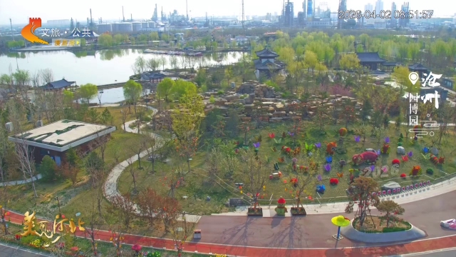 美丽河北慢直播丨运河岸，春光美，漫步沧州园博园遇见诗意 沧州 清晨 2026/04/02#这么近，那么美，周末到河北