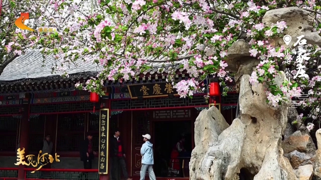 美丽河北慢直播丨荣国府繁花如梦，邀你共赴花期~石家庄 正午 2026/04/03 #这么近，那么美，周末到河北