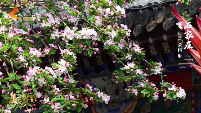 美丽河北见证官吴长新作品欣赏丨一府棠香藏雅韵，半帘春色入红楼